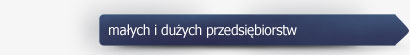 małych i dużych przedsiębiorstw